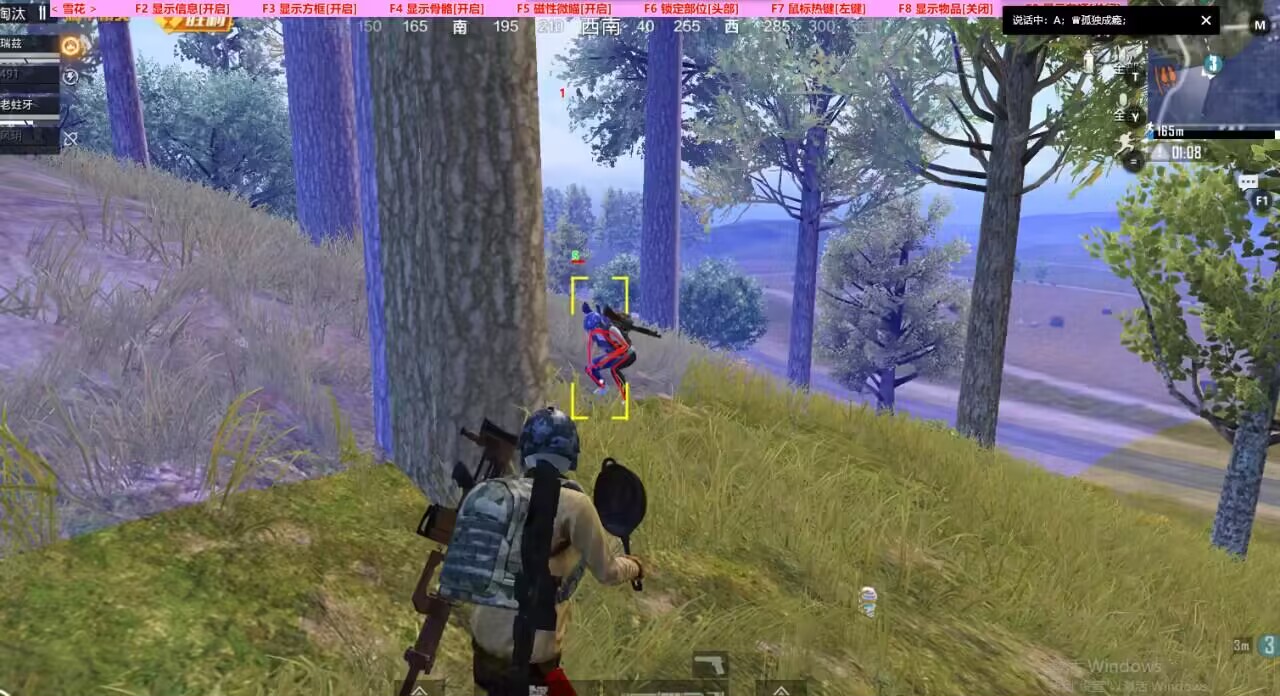 和平精英辅助【极目】